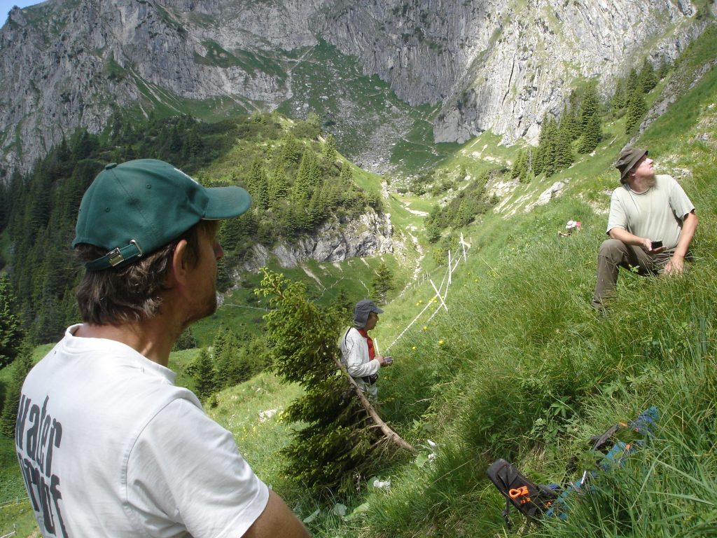 Alpenerkundung