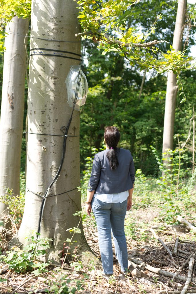 Frau Prof. Annette Menzel am Baum 4.0 in Augsburg