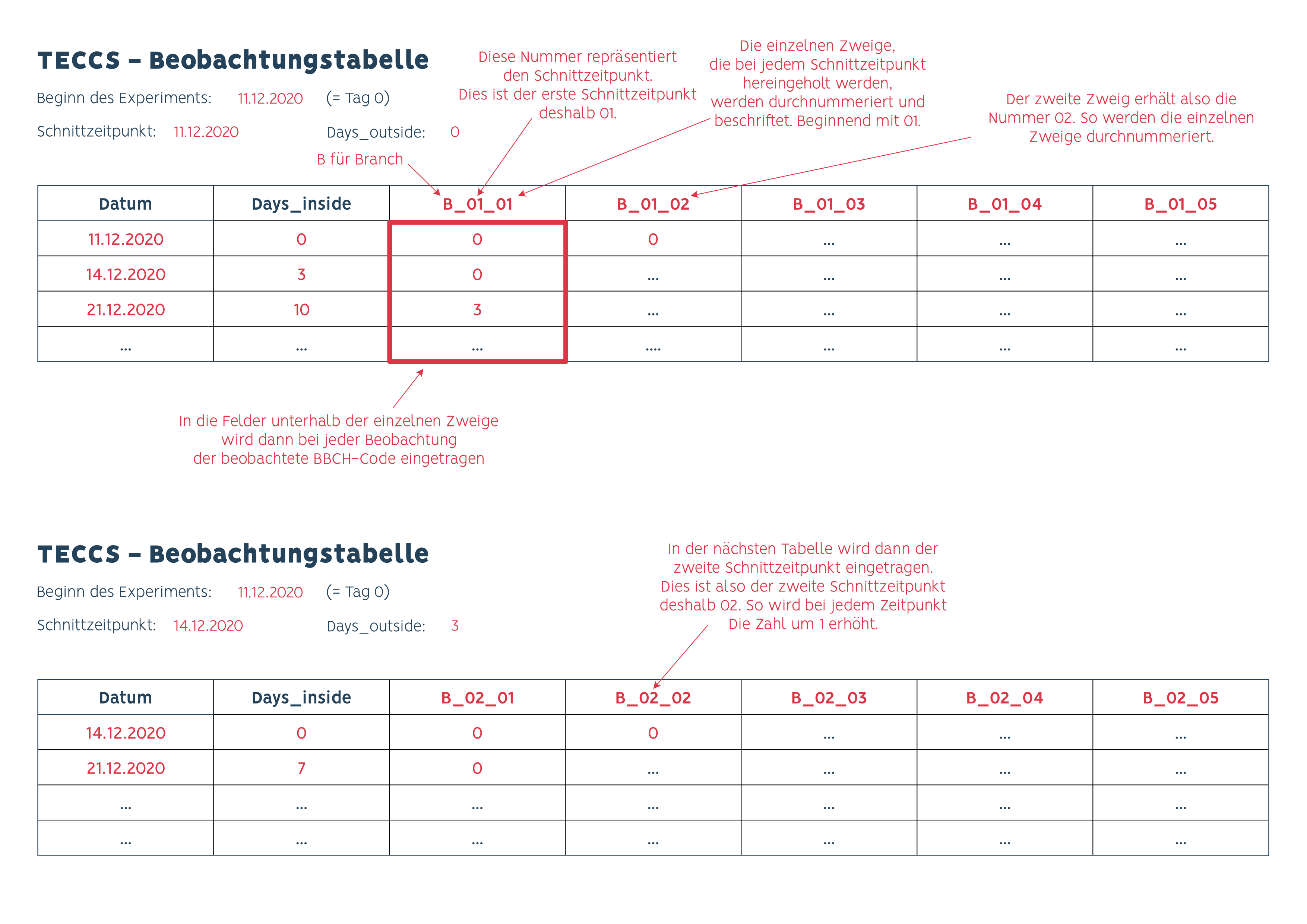 TECCS Beobachtungstabelle vorlage