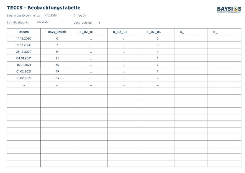 Teccs Beobachtungstabelle ausgefüllt